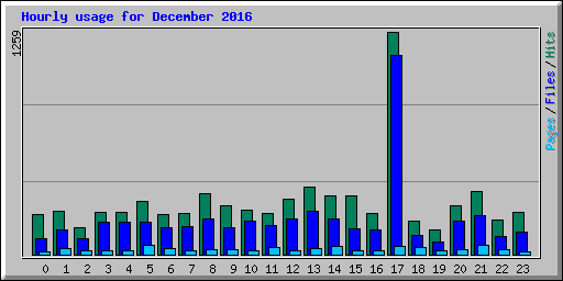 Hourly usage for December 2016
